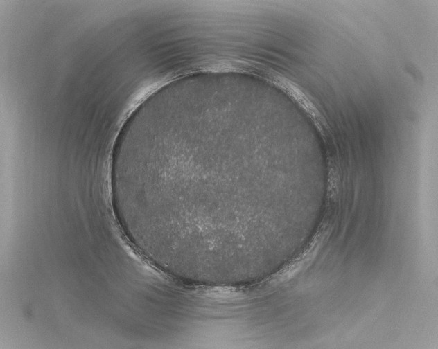 X0000116040986200911201341