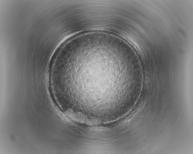 X0000116040992200911201341