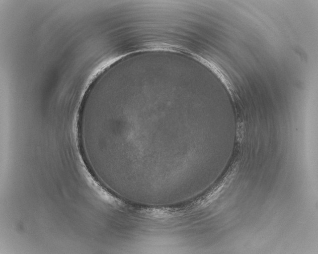 X0000116040995200911201341