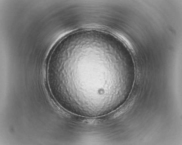 X0000116041000200911201341