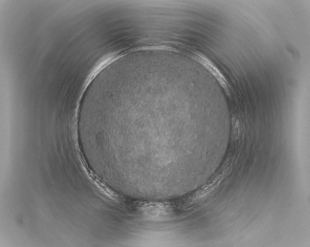 X0000116041002200911201341