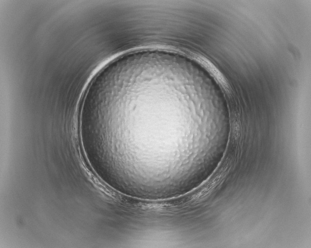 X0000116041004200911201341