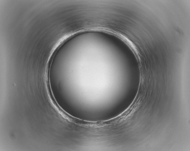 X0000116041005200911201341