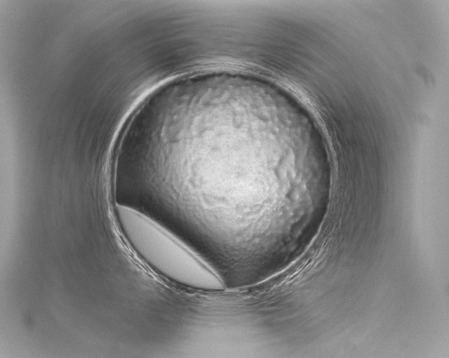 X0000116041008200911201340