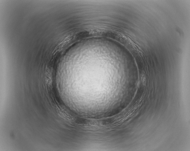 X0000116041012200911201340