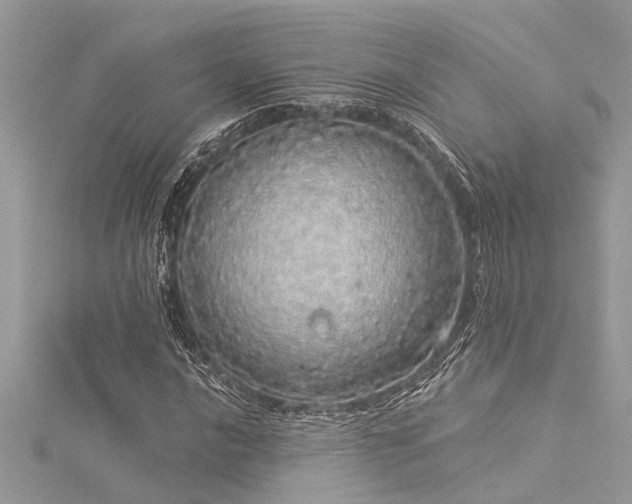 X0000116041016200911201340