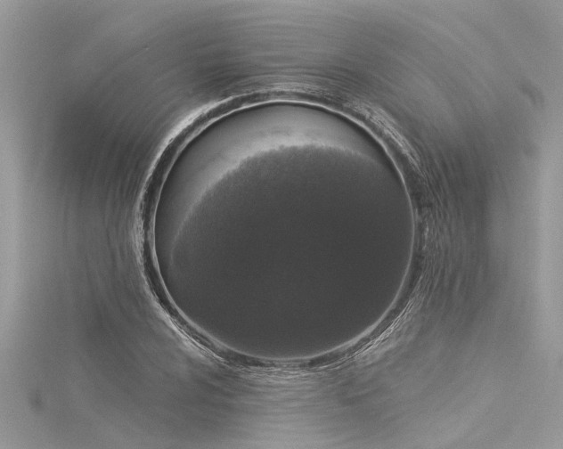 X0000116041024200911201340