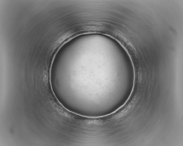 X0000116041025200911201340