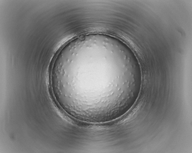 X0000116041034200911201340