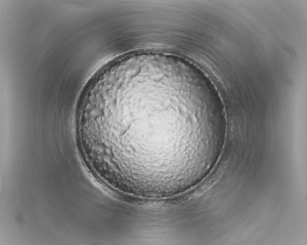 X0000116041038200911201340