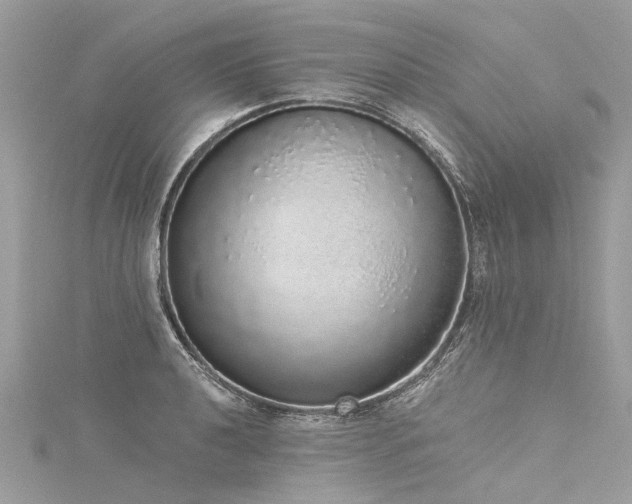 X0000116041040200911201340
