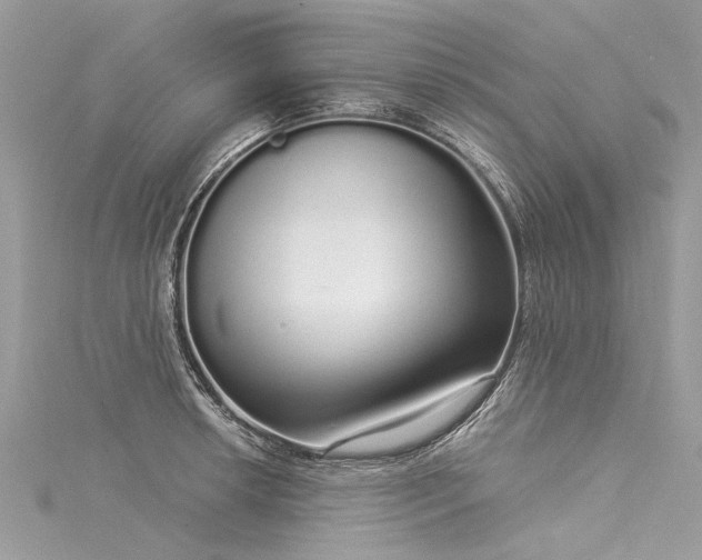 X0000116041042200911201340