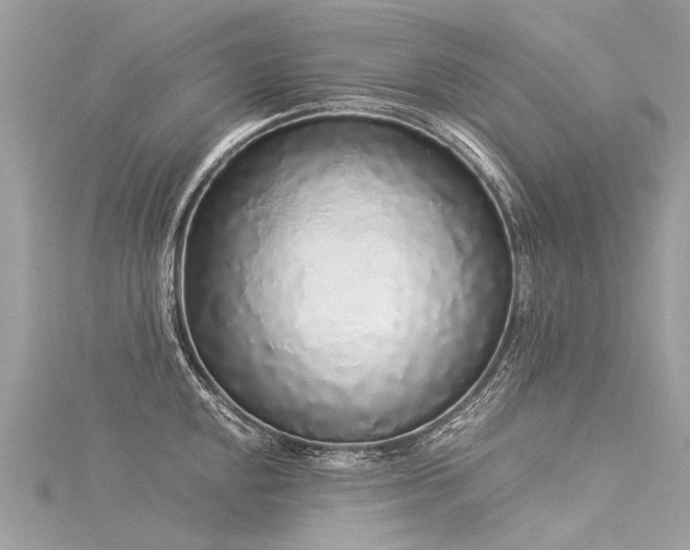 X0000116041048200911201340