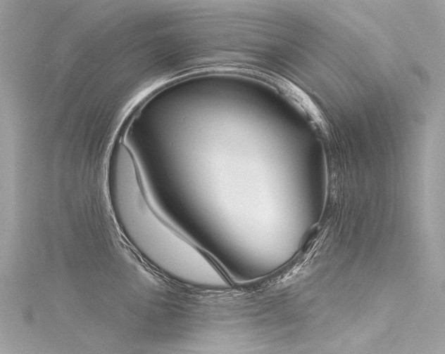 X0000116041051200911201340