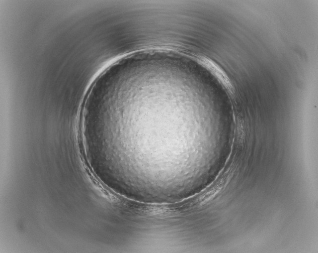 X0000116041052200911201340