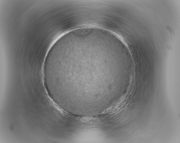 X0000116041056200911201340