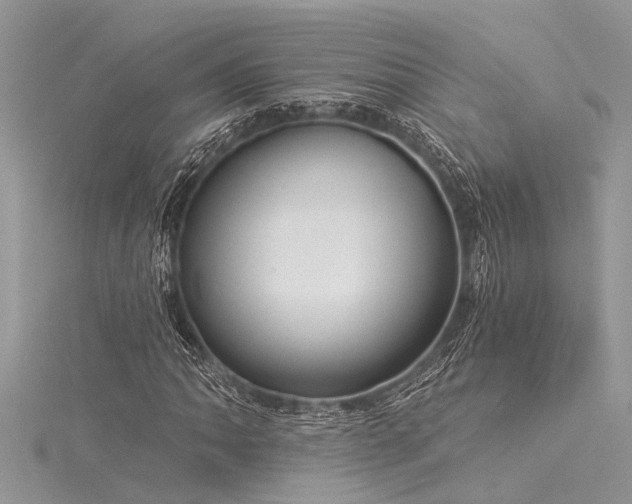 X0000116041062200911201340
