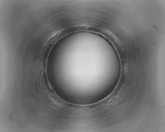 X0000116041064200911201340