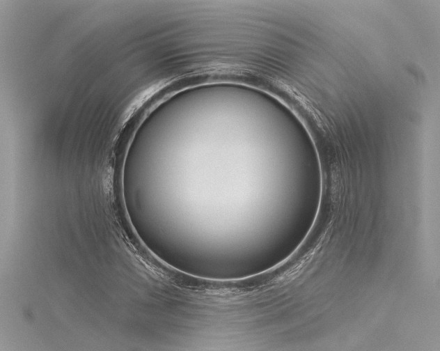 X0000116041066200911201340