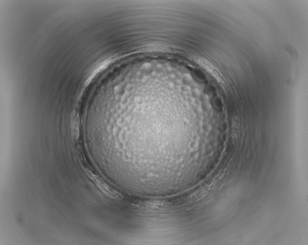 X0000116041067200911201340