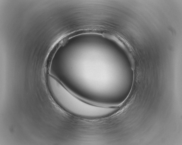 X0000116041075200911201340