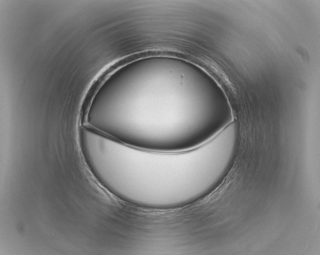 X0000116041076200911201340