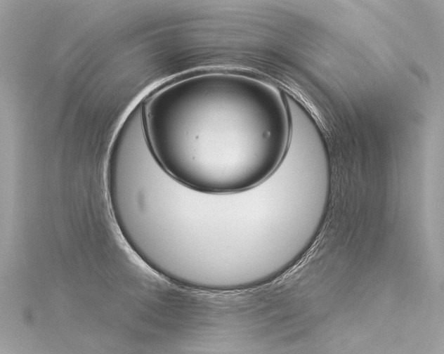 X0000116041092200911201339