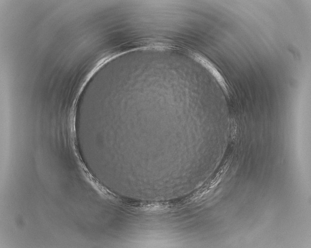 X0000116041099200911201339