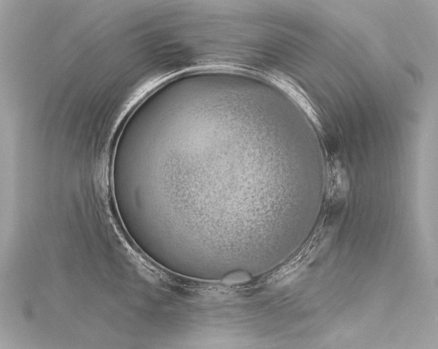 X0000116041101200911201339