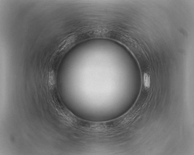 X0000116041107200911201339