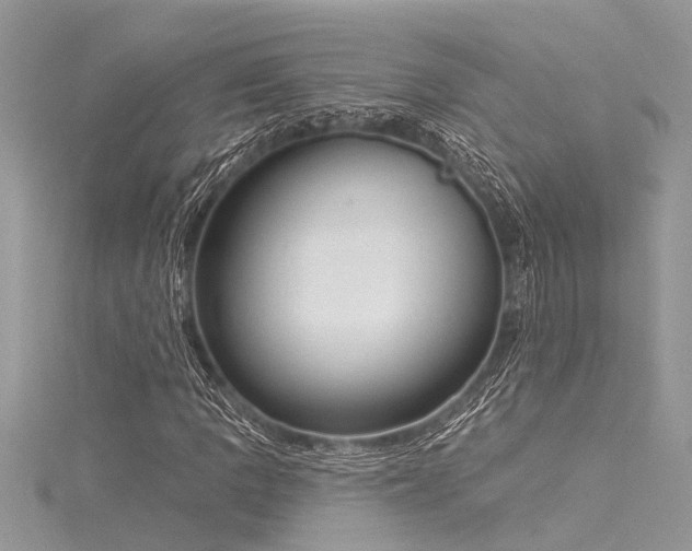 X0000116041109200911201339