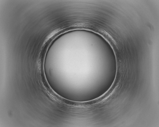 X0000116041114200911201339