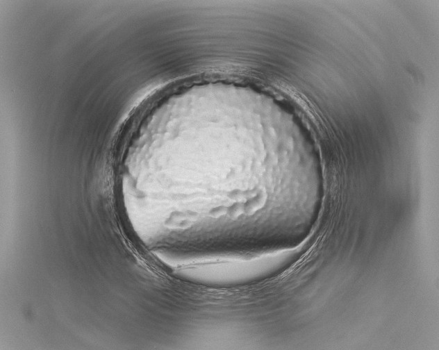 X0000116041115200911201339