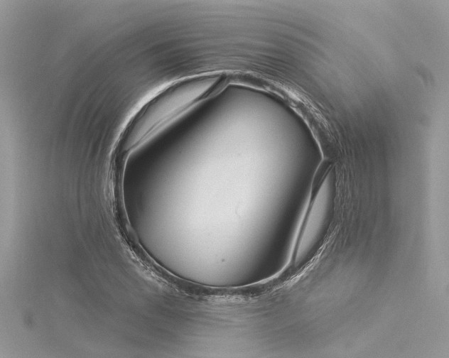 X0000116041118200911201339