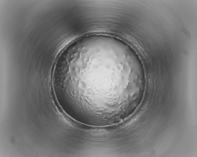 X0000116041129200911201339