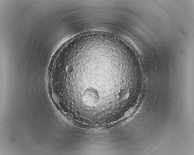 X0000116041133200911201339