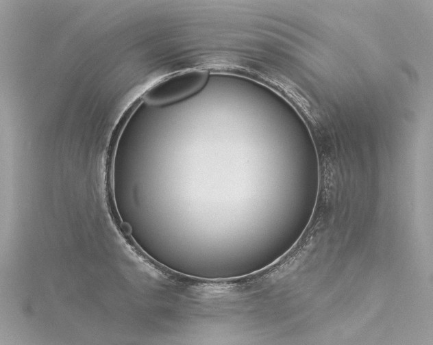 X0000116041134200911201339