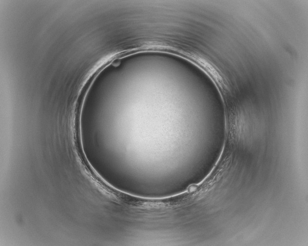 X0000116041142200911201339