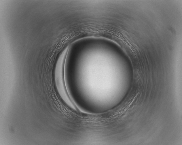 X0000116041153200911201339