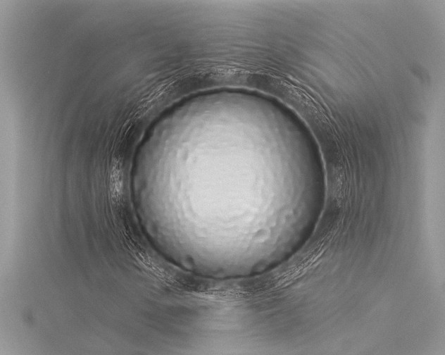 X0000116041154200911201339