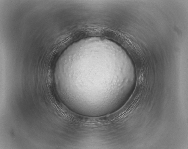 X0000116041156200911201339