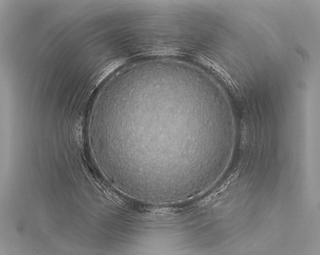 X0000116041162200911201338
