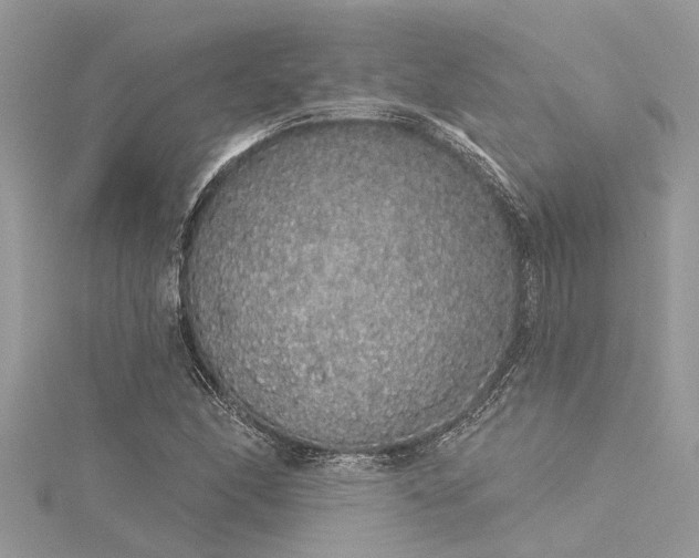 X0000116041166200911201338