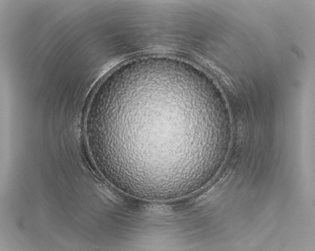 X0000116041170200911201338