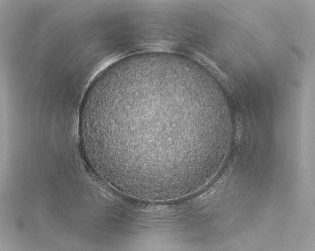 X0000116041174200911201338