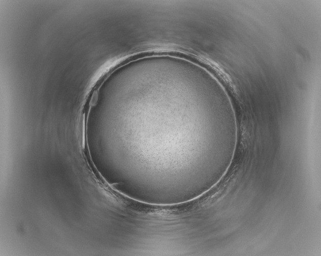 X0000116041175200911201338