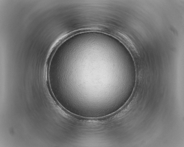 X0000116041180200911201338