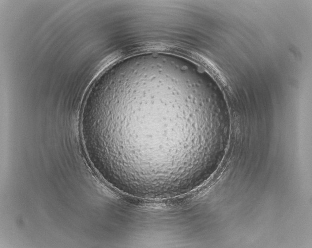 X0000116041186200911201338