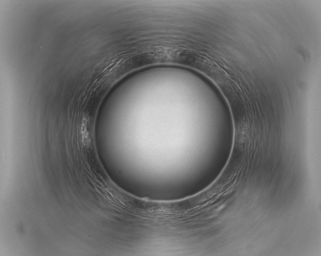X0000116041202200911201337