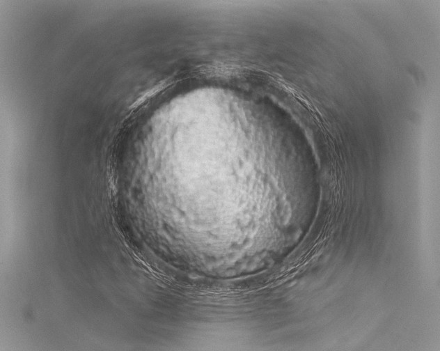 X0000116041206200911201337